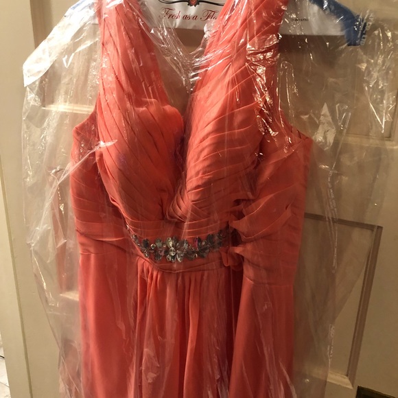 Meet your Posher, Leilani - Picture 6 of 6